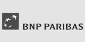 bnp-1.jpg